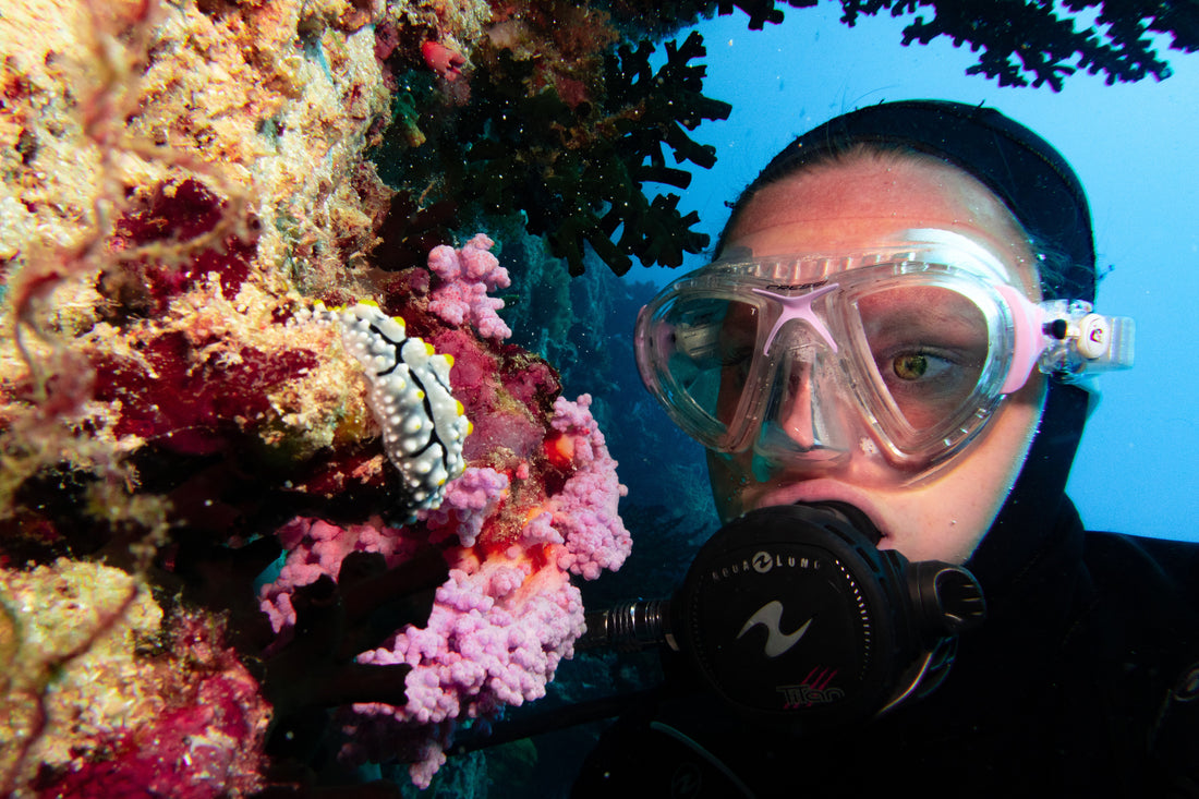 A Novice's Guide to Becoming a Scuba Diver